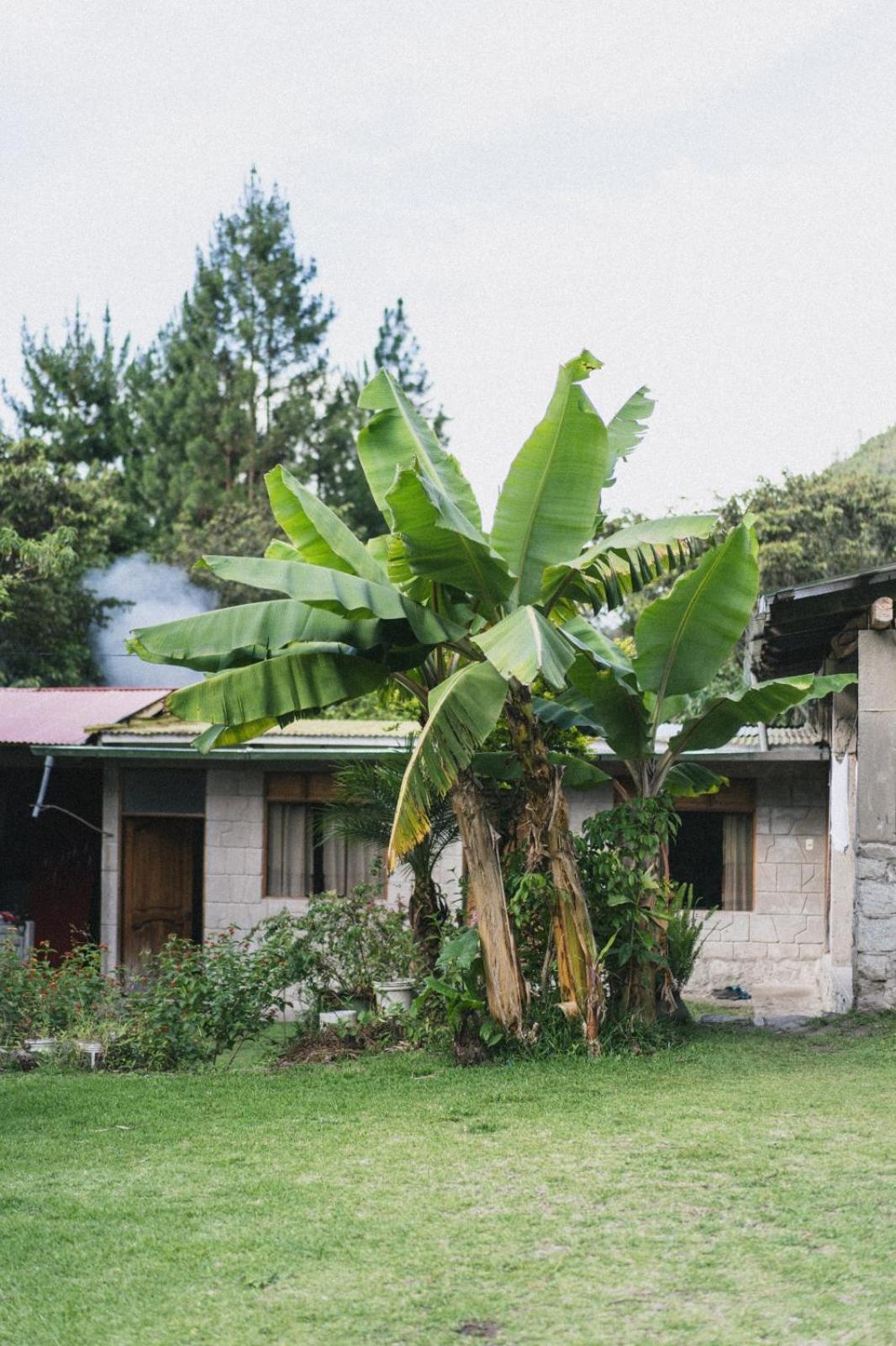 Homestay Lucmabamba