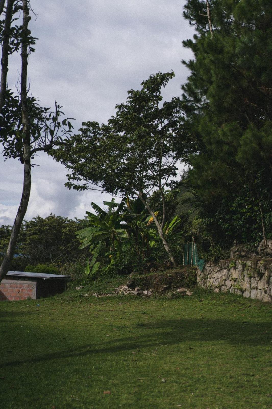 Homestay Lucmabamba Santa Teresa (Cusco)
